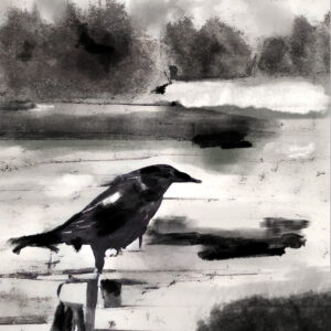 Mini Mars Monotype