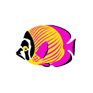 Intro to Screenprinting - Tropical Fish