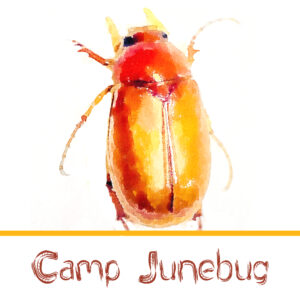 Camp Junebug
