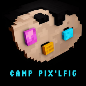 PIX'LFIG Summer Camp